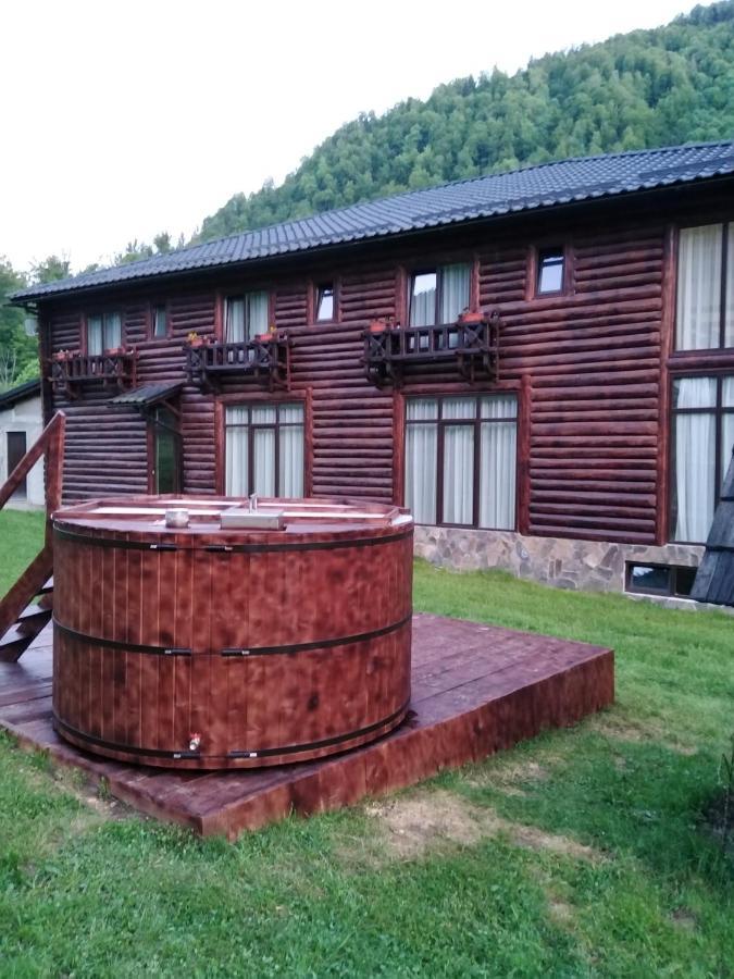 Pensiunea Roxana Valea Viseului Exterior photo