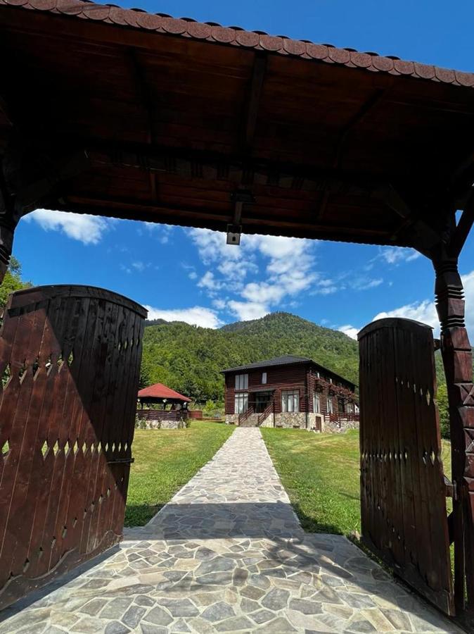 Pensiunea Roxana Valea Viseului Exterior photo