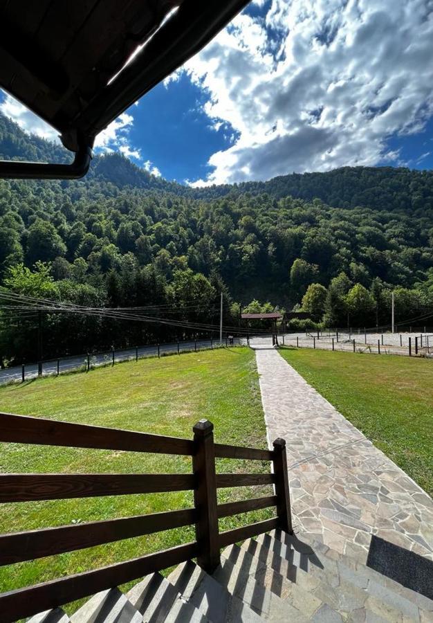 Pensiunea Roxana Valea Viseului Exterior photo