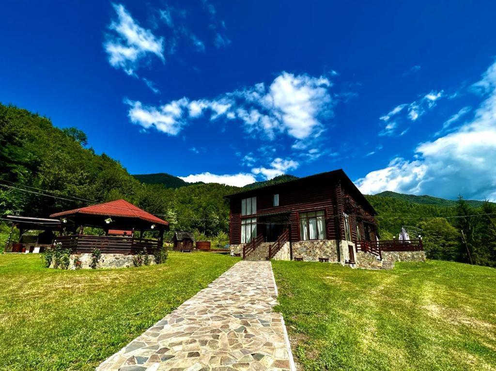 Pensiunea Roxana Valea Viseului Exterior photo