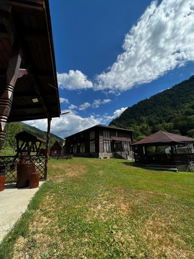 Pensiunea Roxana Valea Viseului Exterior photo