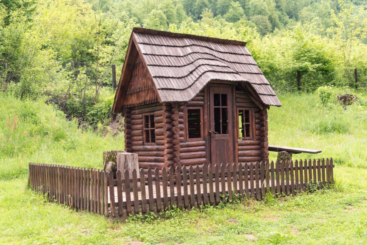 Pensiunea Roxana Valea Viseului Exterior photo